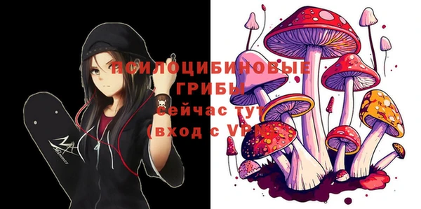 не бодяженный Няндома